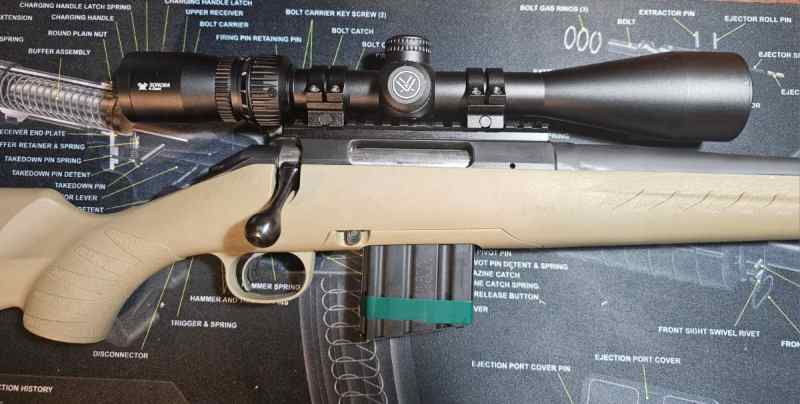 Ruger American 5.56 with Vortex