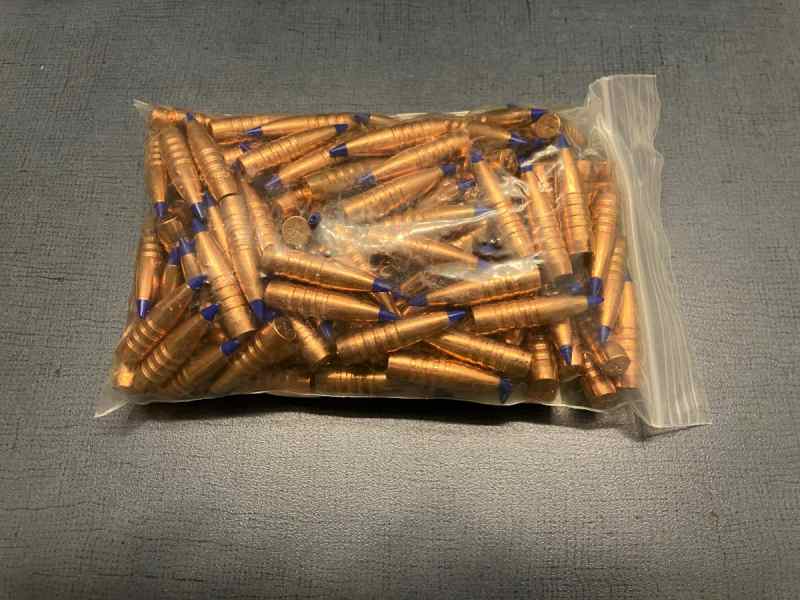 Barnes 168gr TSX Bullets.JPG