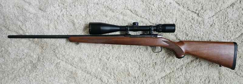 Ruger 77/17 .17HMR