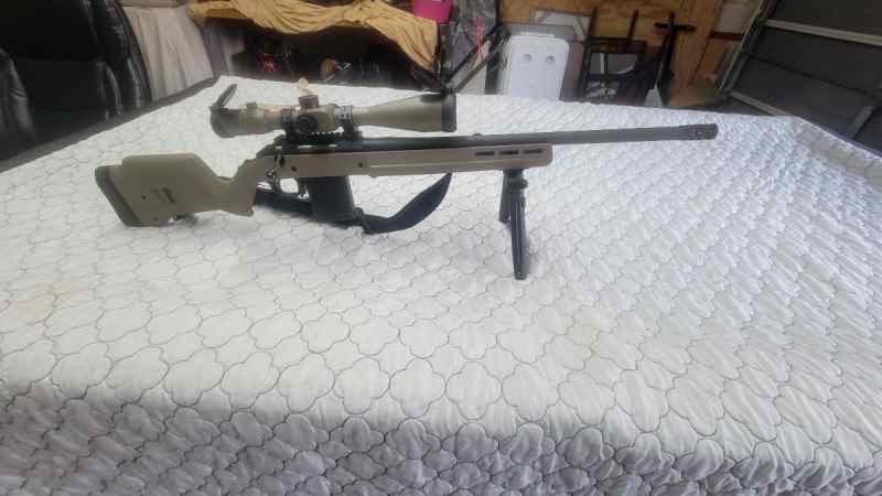 Ruger hunter .308